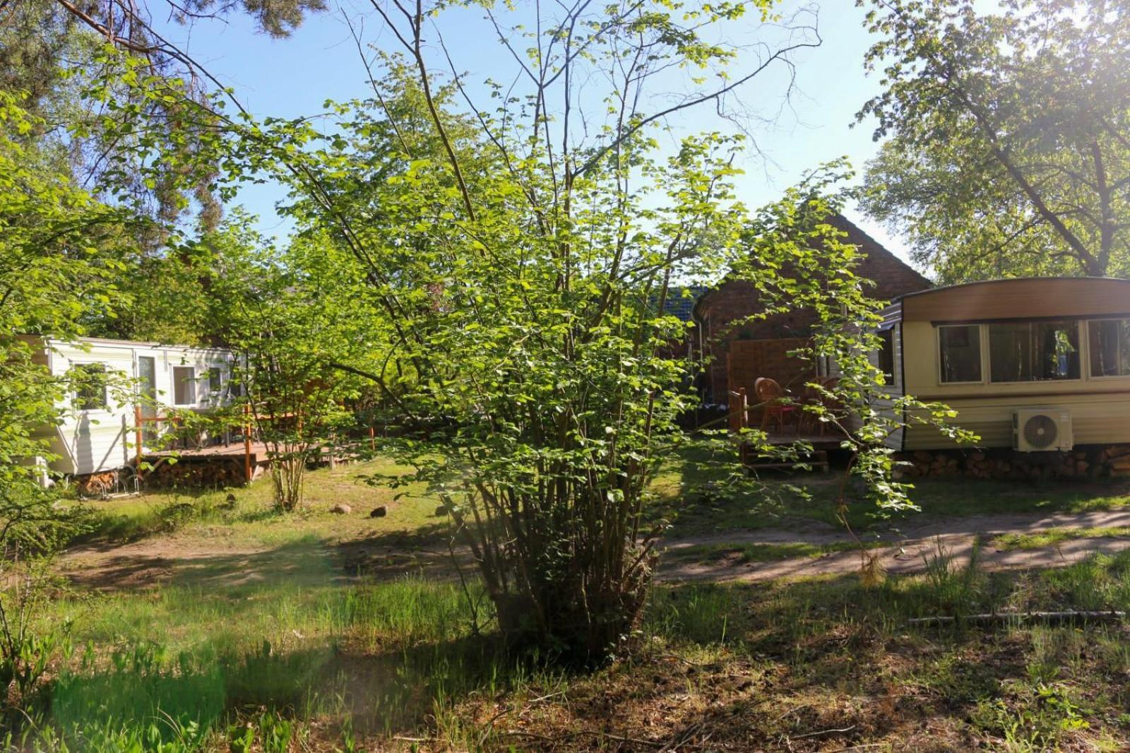 Hotel Tinyhaus Idyllisch Am Waldesrand Cottbus Exterior foto